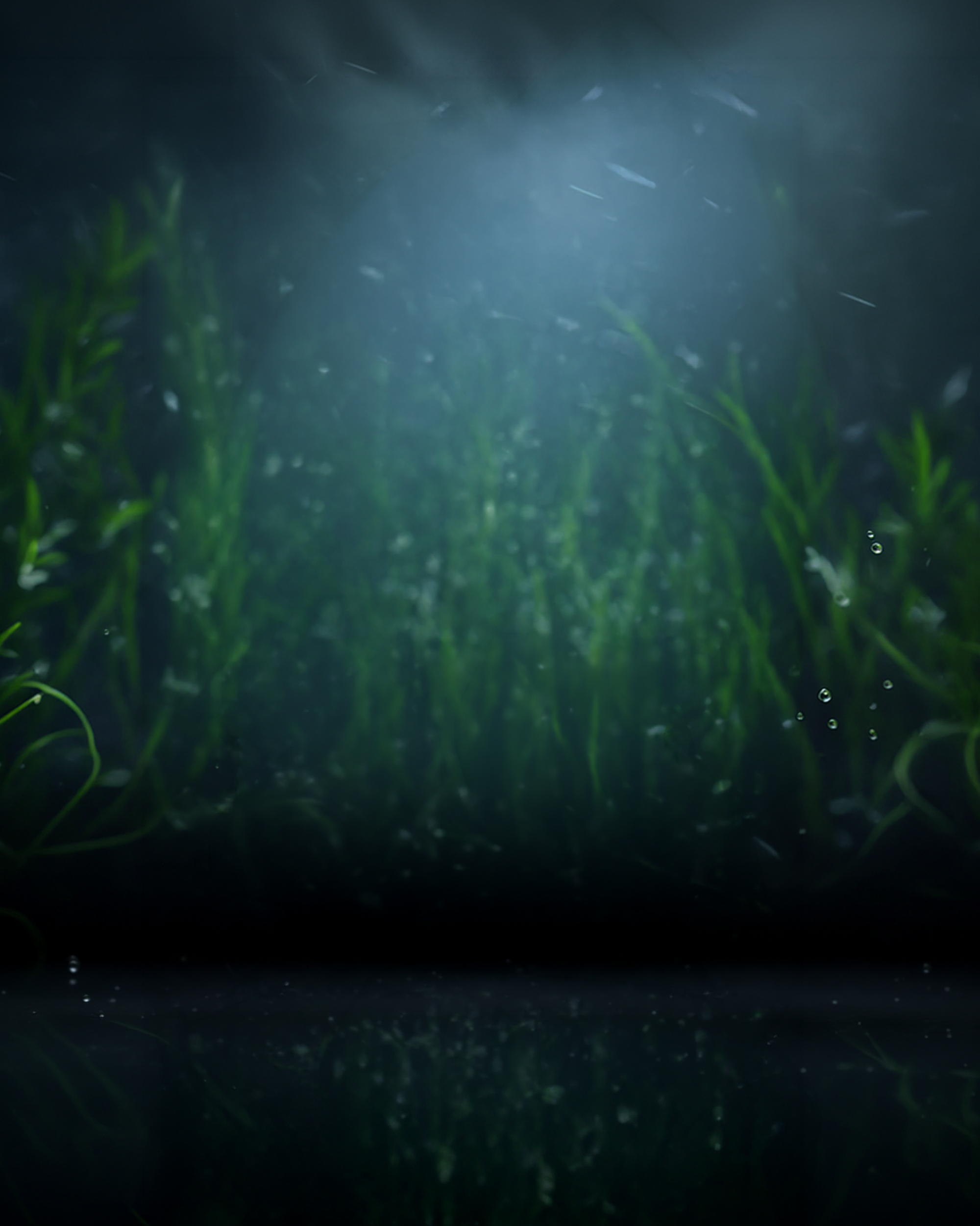 Banner bg
